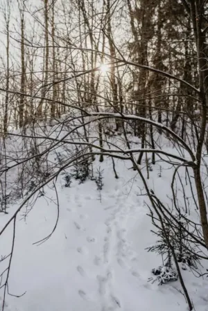 retreat2271-scaled_800